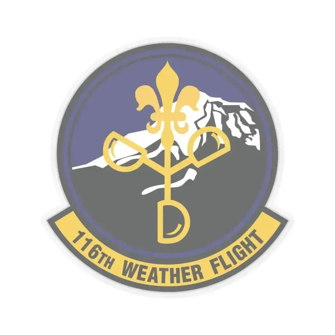 116th Weather Flight (U.S. Air Force) STICKER Vinyl Kiss-Cut Decal 6 Inch Transparent - The Sticker Space