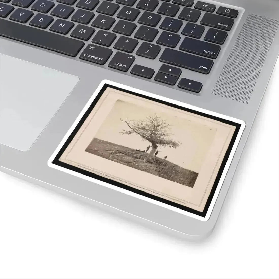 A Lone Grave on Battle-Field of Antietam (U.S. Civil War) STICKER Vinyl Kiss-Cut Decal - The Sticker Space