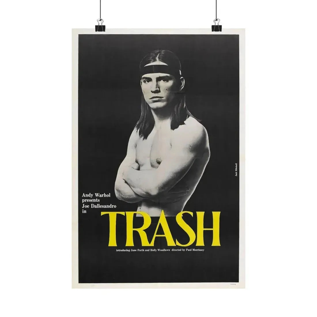 ANDY WARHOL'S TRASH 1970 - Paper Movie Poster 12″ x 18″ Matte - The Sticker Space