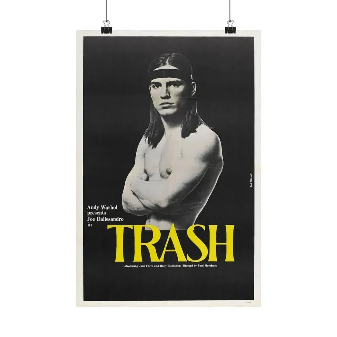 ANDY WARHOL'S TRASH 1970 - Paper Movie Poster - The Sticker Space