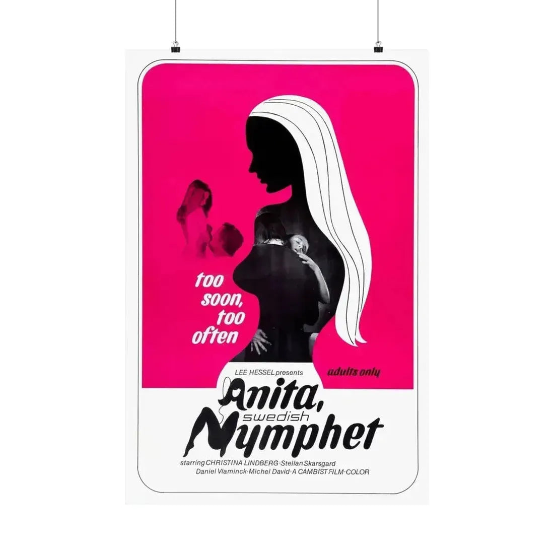 ANITA SWEDISH NYMPHET 1973 - Paper Movie Poster - The Sticker Space