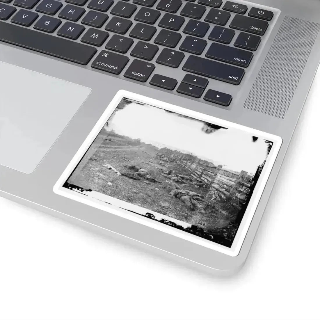 Antietam, Md. Confederate Dead by a Fence on the Hagerstown Road (U.S. Civil War) STICKER Vinyl Kiss-Cut Decal - The Sticker Space