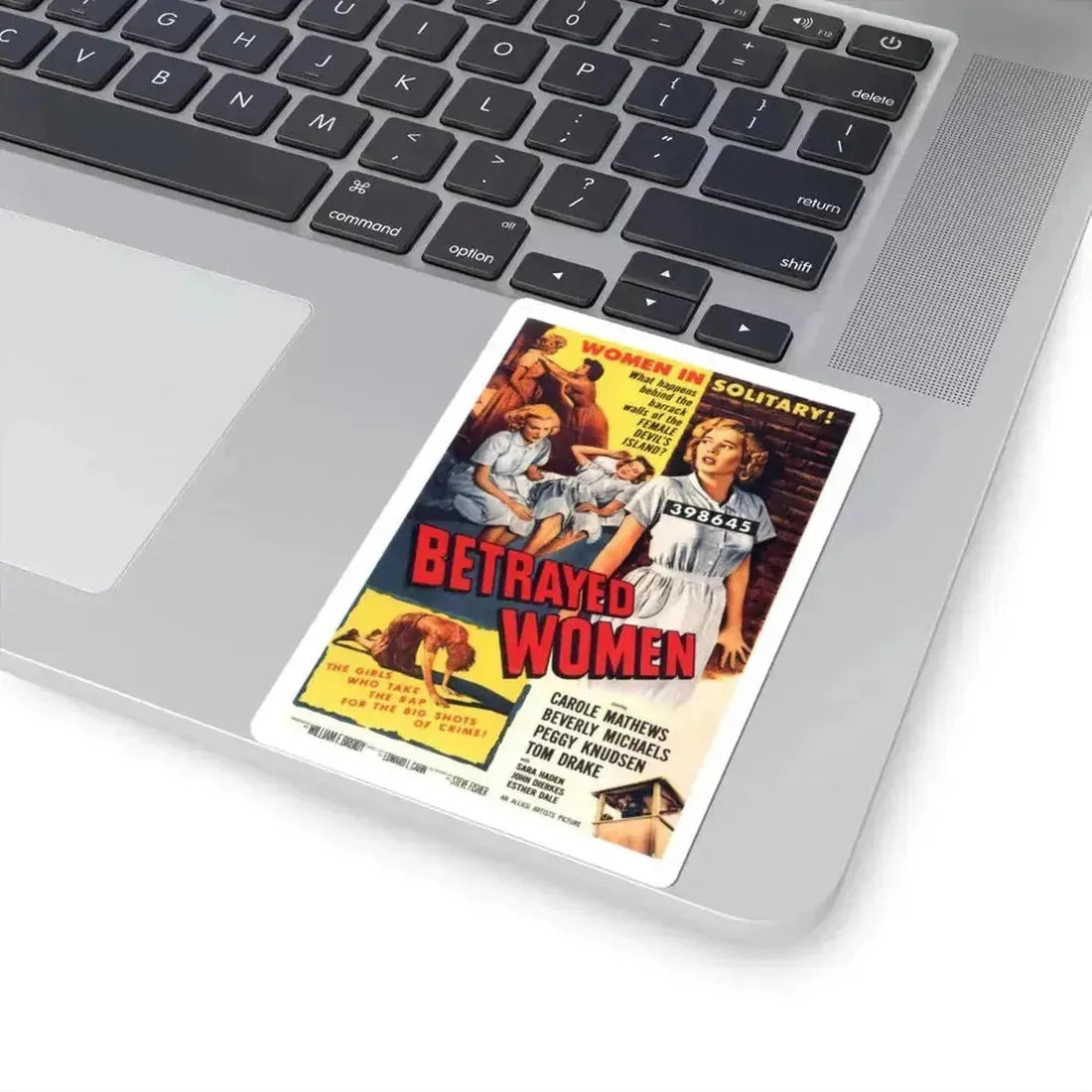 BETRAYED WOMEN 1955 Movie Poster - STICKER Vinyl Kiss-Cut Decal - The Sticker Space