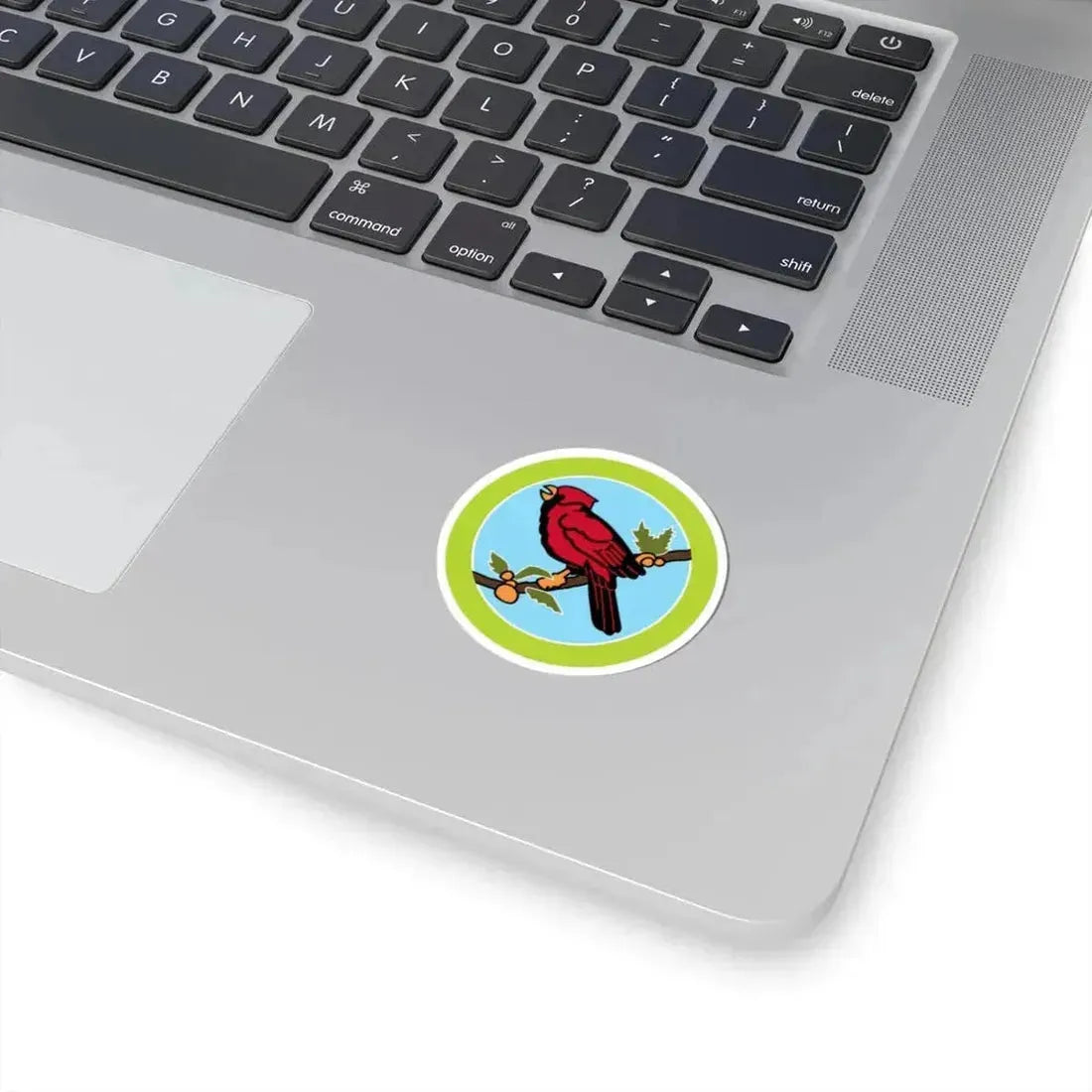 Bird Study (Boy Scout Merit Badge) STICKER Vinyl Kiss-Cut Decal - The Sticker Space