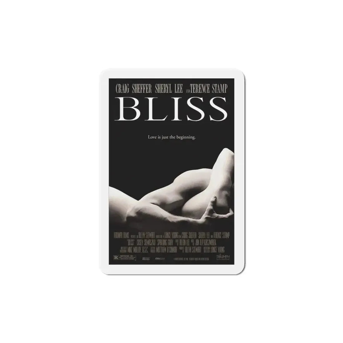 Bliss 1997 Movie Poster Refrigerator Magnet - The Sticker Space