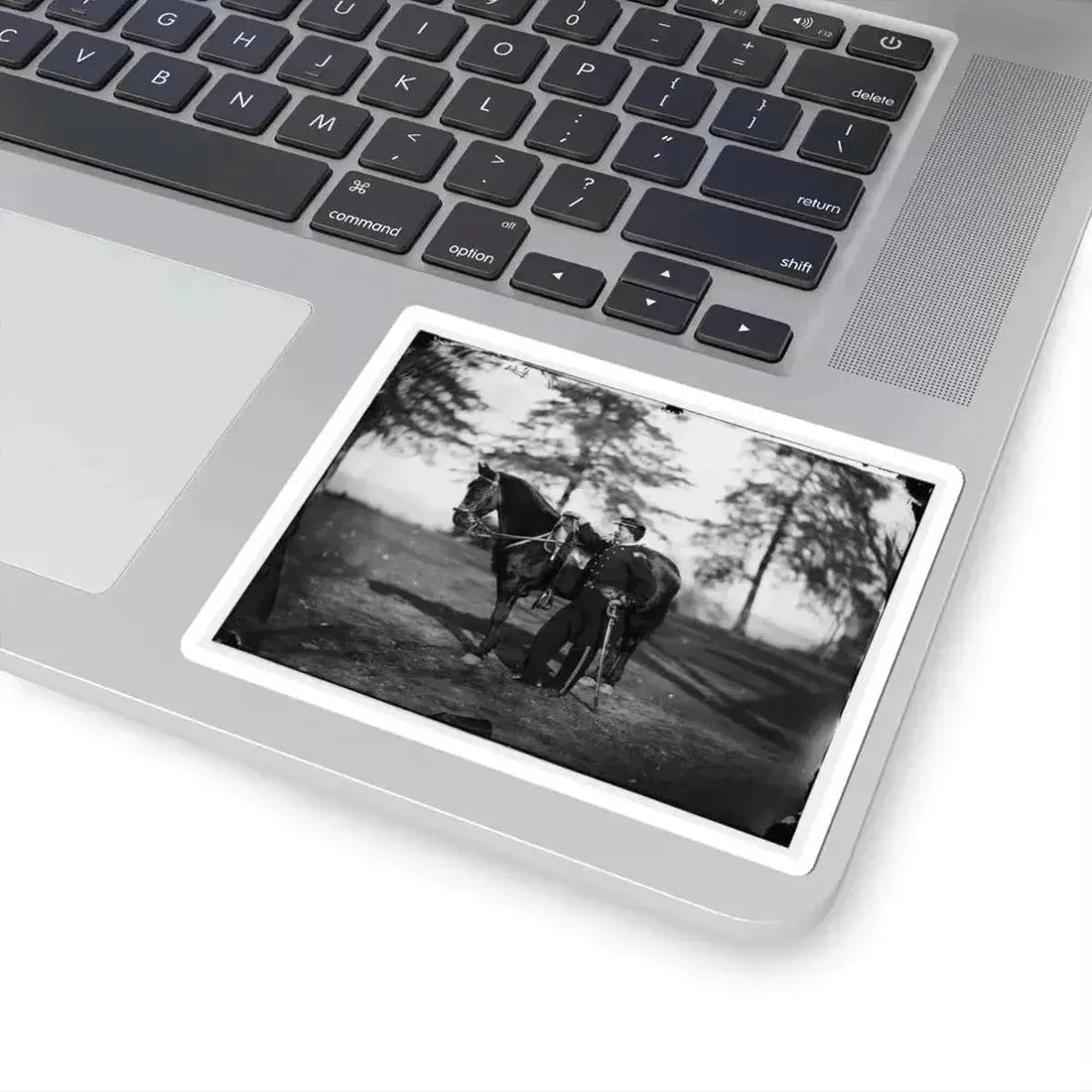 Brandy Station, Va. Lt. Col. Orson H. Hart, A.A.G. Of 3D Corps, and Horse (U.S. Civil War) STICKER Vinyl Kiss-Cut Decal - The Sticker Space