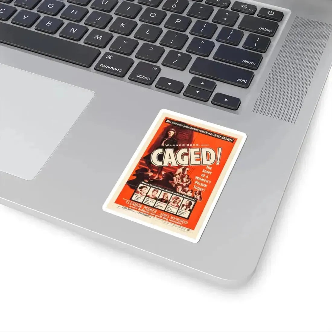 Caged 1950 Movie Poster - STICKER Vinyl Kiss-Cut Decal - The Sticker Space