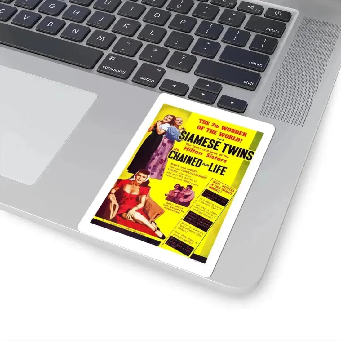 CHAINED FOR LIFE 1952 Movie Poster - STICKER Vinyl Kiss-Cut Decal - The Sticker Space