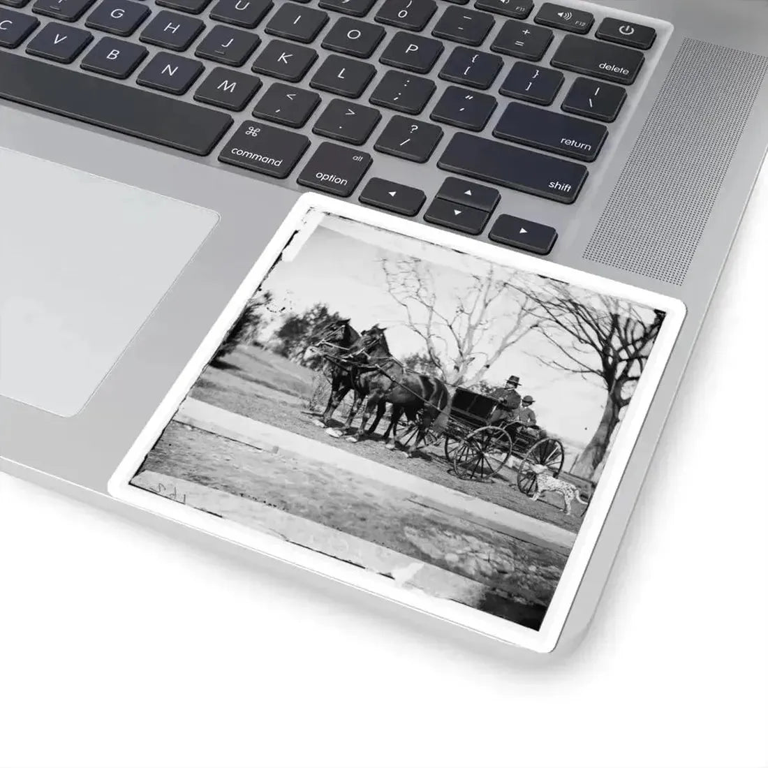 City Point, Virginia. Gen. Rufus Ingalls in Buggy With Colored Boy (U.S. Civil War) STICKER Vinyl Kiss-Cut Decal - The Sticker Space