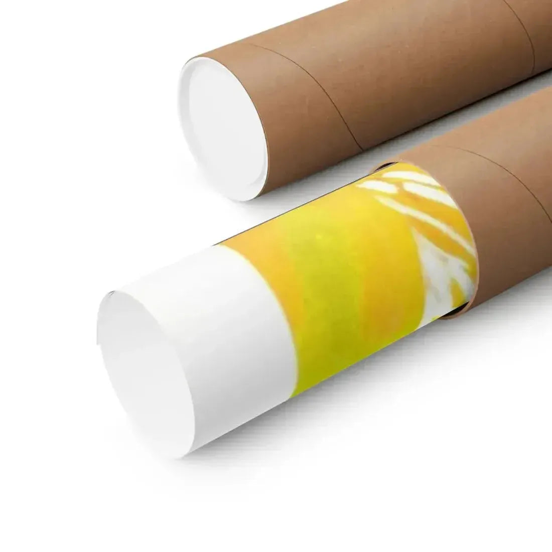 CURUCU, BEAST OF THE AMAZON 1956 - Paper Movie Poster - The Sticker Space