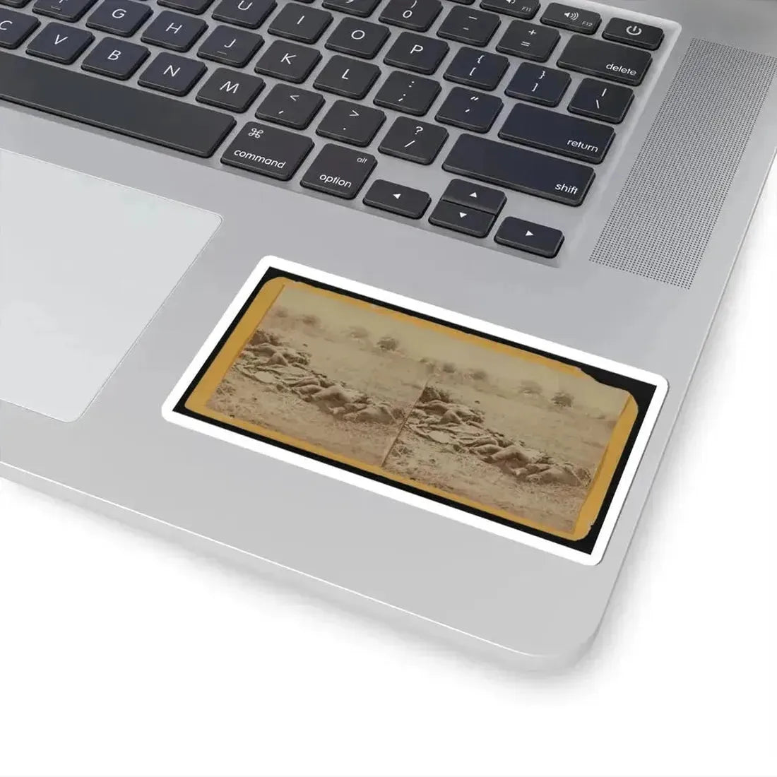 Dead Soldiers Lying Side by Side in a Field (U.S. Civil War) STICKER Vinyl Kiss-Cut Decal - The Sticker Space