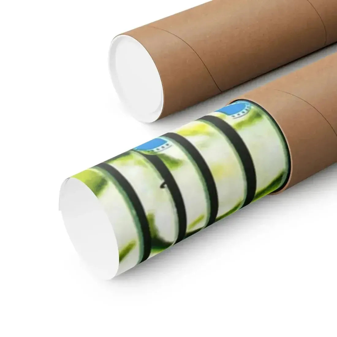 DR. PHIBES RISES AGAIN! (2) 1972 - Paper Movie Poster - The Sticker Space