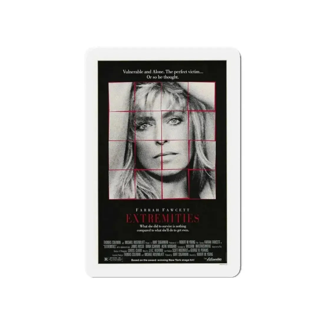 EXTREMITIES 1966 Movie Poster - Refrigerator Magnet - The Sticker Space