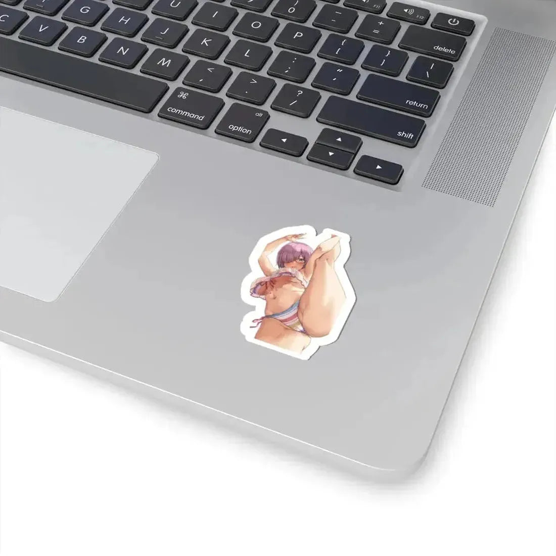 Fate Grand Order Mash Kyrielight Shielder 6 (Anime/Ecchi) STICKER Vinyl Kiss-Cut Decal - The Sticker Space