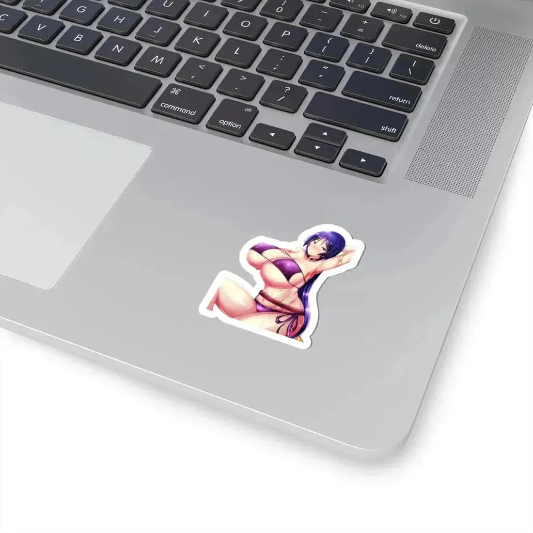 Fate Grand Order Minamoto no Raikou Berserker 2 (Anime/Ecchi) STICKER Vinyl Kiss-Cut Decal - The Sticker Space
