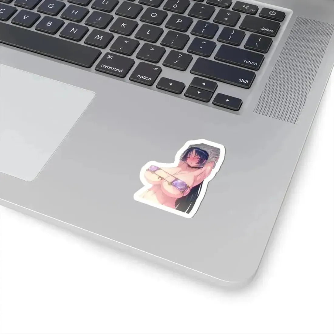 Fate Grand Order Minamoto no Raikou Berserker 3 (Anime/Ecchi) STICKER Vinyl Kiss-Cut Decal - The Sticker Space