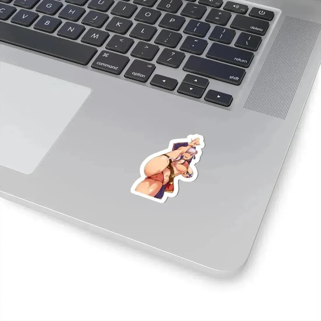 Fate Grand Order Miyamoto Musashi Saber 1 (Anime/Ecchi) STICKER Vinyl Kiss-Cut Decal - The Sticker Space