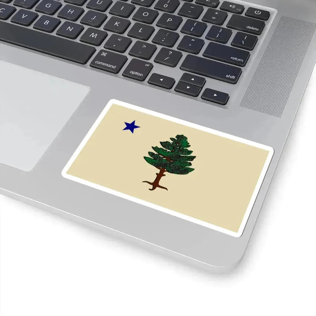 Flag of Maine 1901-1909 (United States) STICKER Vinyl Kiss-Cut Decal - The Sticker Space