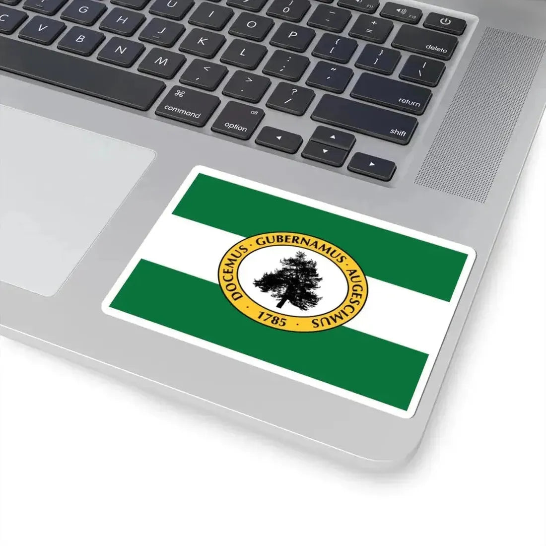 Flag of Richland County South Carolina (United States) STICKER Vinyl Kiss-Cut Decal - The Sticker Space