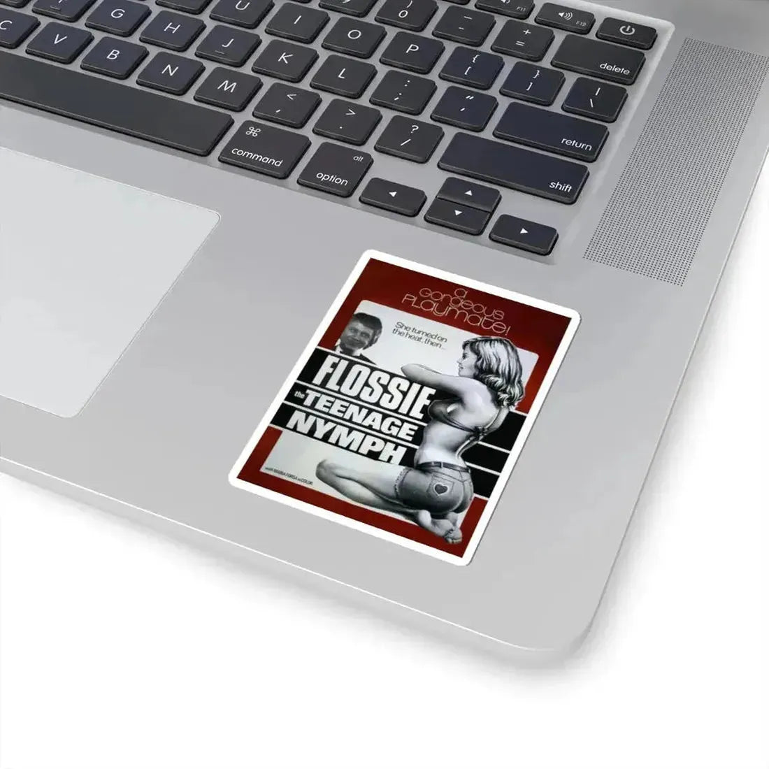 FLOSSY THE TEENAGE NYMPH 1974 Movie Poster - STICKER Vinyl Kiss-Cut Decal - The Sticker Space