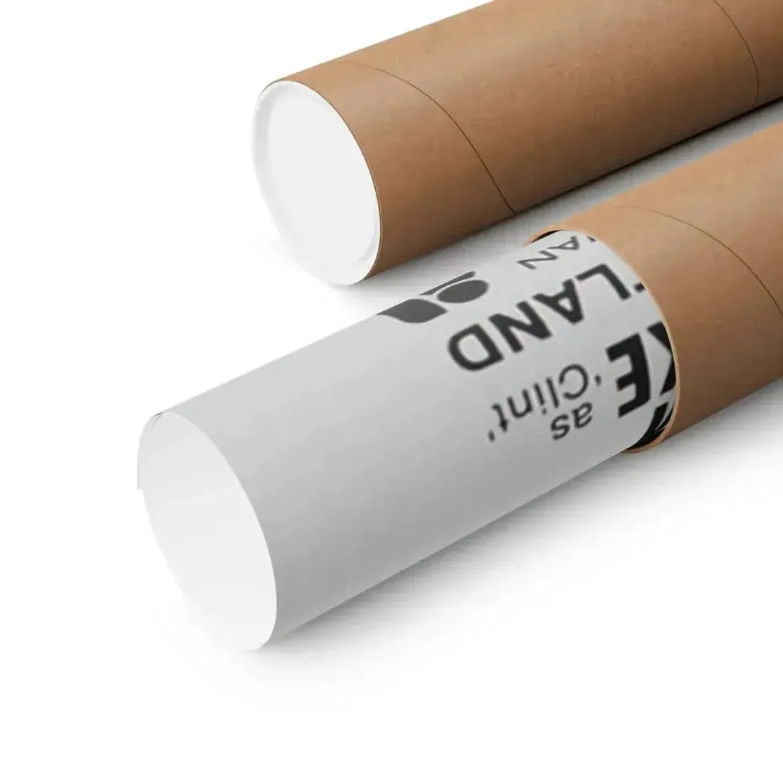 FROGS (2) 1972 - Paper Movie Poster - The Sticker Space