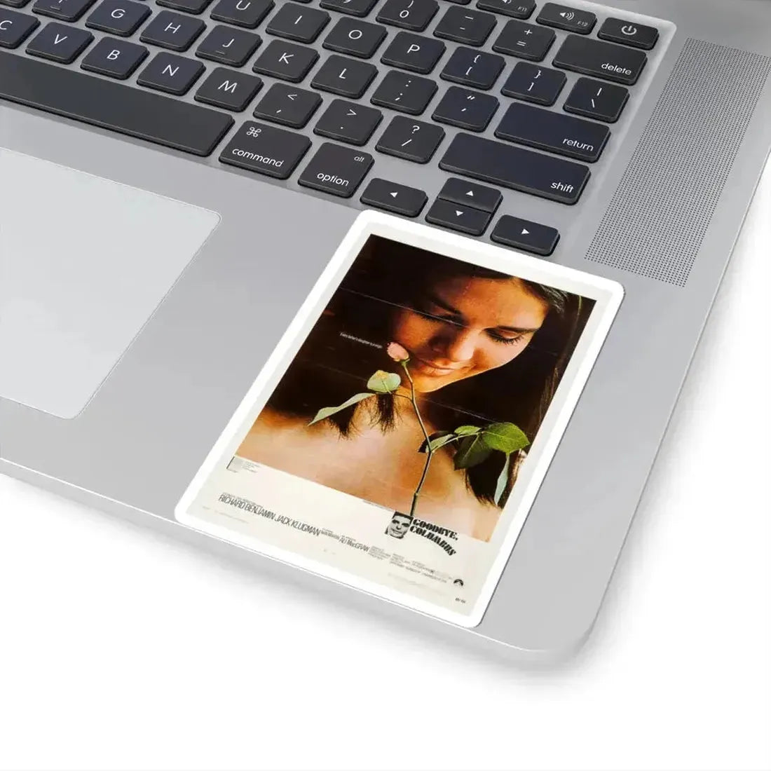 Goodbye Columbus 1969 Movie Poster - STICKER Vinyl Kiss-Cut Decal - The Sticker Space