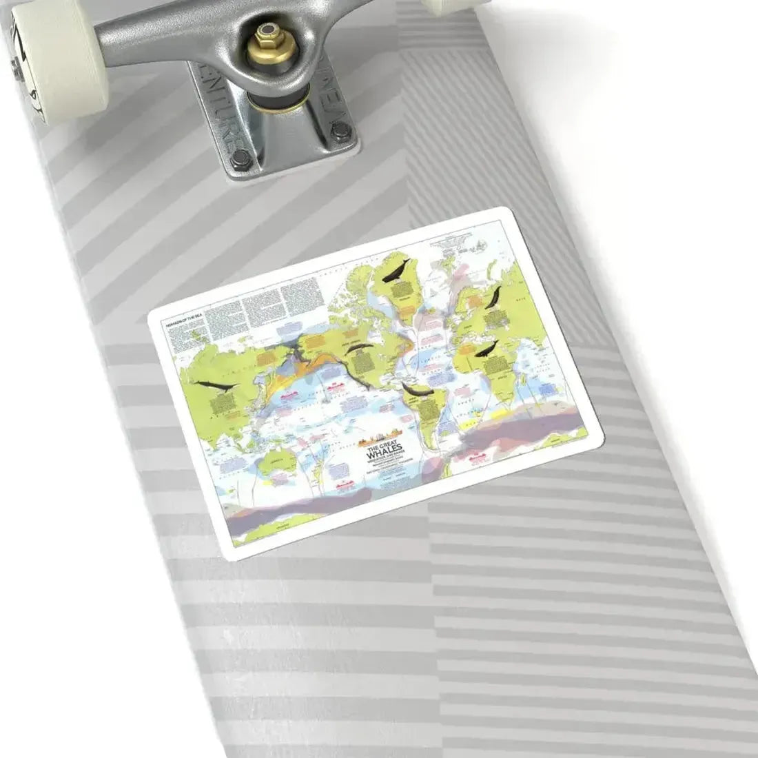 Great Whales, Migration and Range (1976) (Map) STICKER Vinyl Kiss-Cut Decal - The Sticker Space