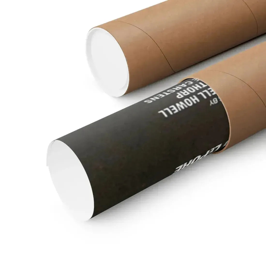 HARD TICKET TO HAWAII 1987 - Paper Movie Poster - The Sticker Space