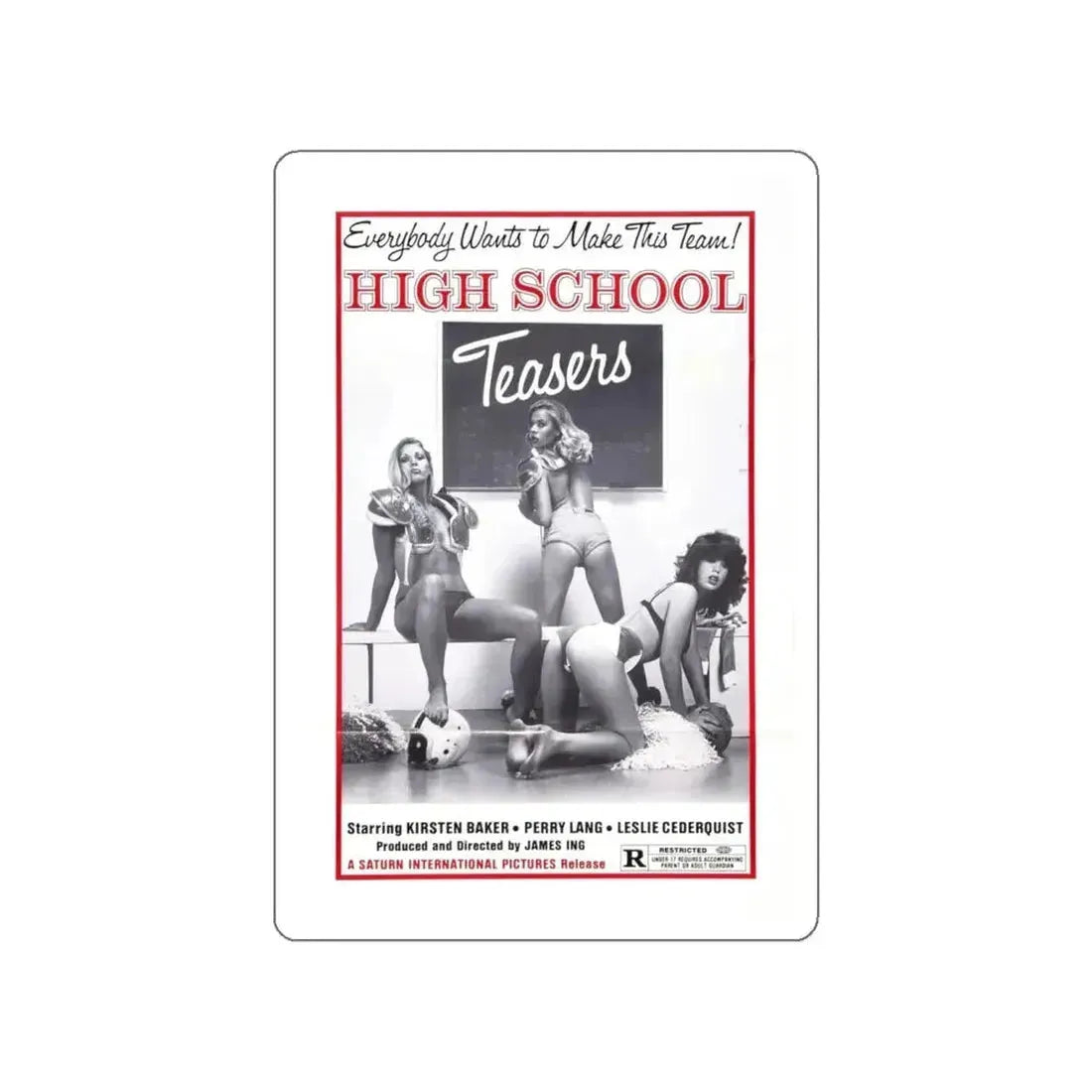 HIGH SCHOOL TEASERS 1978 Movie Poster STICKER Vinyl Die-Cut Decal - The Sticker Space