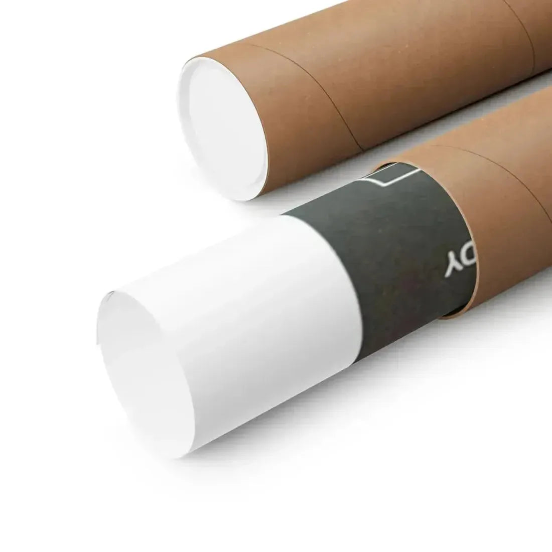 INSEMINOID (2) 1981 - Paper Movie Poster - The Sticker Space