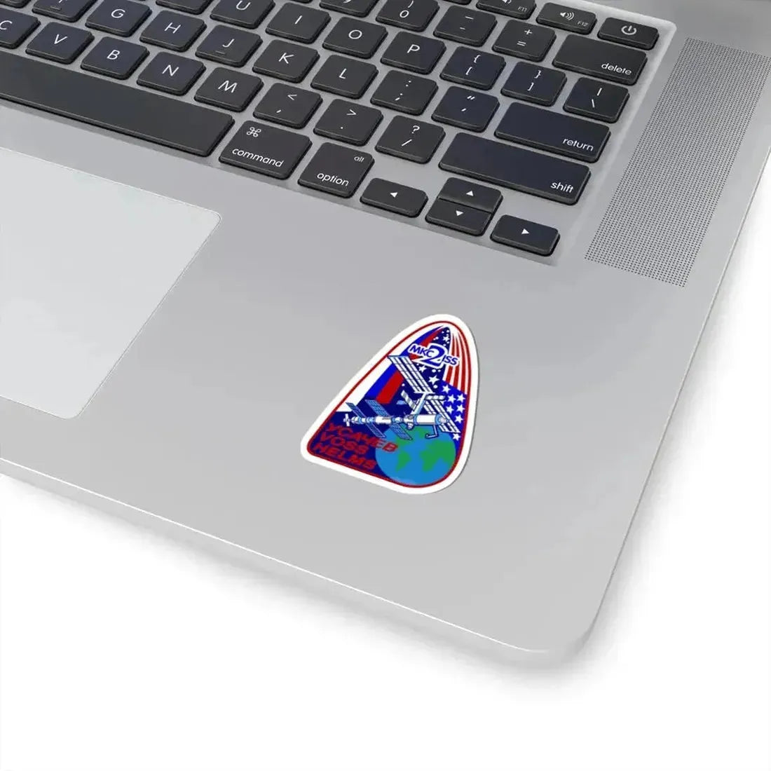 ISS Expedition 2 (NASA) STICKER Vinyl Kiss-Cut Decal - The Sticker Space