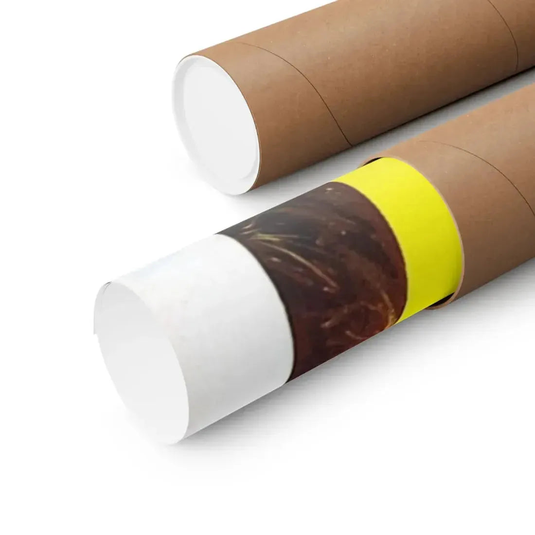 MESA OF LOST WOMEN 1953 - Paper Movie Poster - The Sticker Space