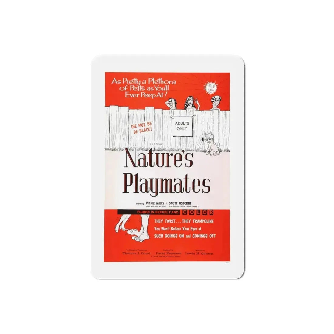 NATURE'S PLAYMATES 1962 Movie Poster - Refrigerator Magnet - The Sticker Space