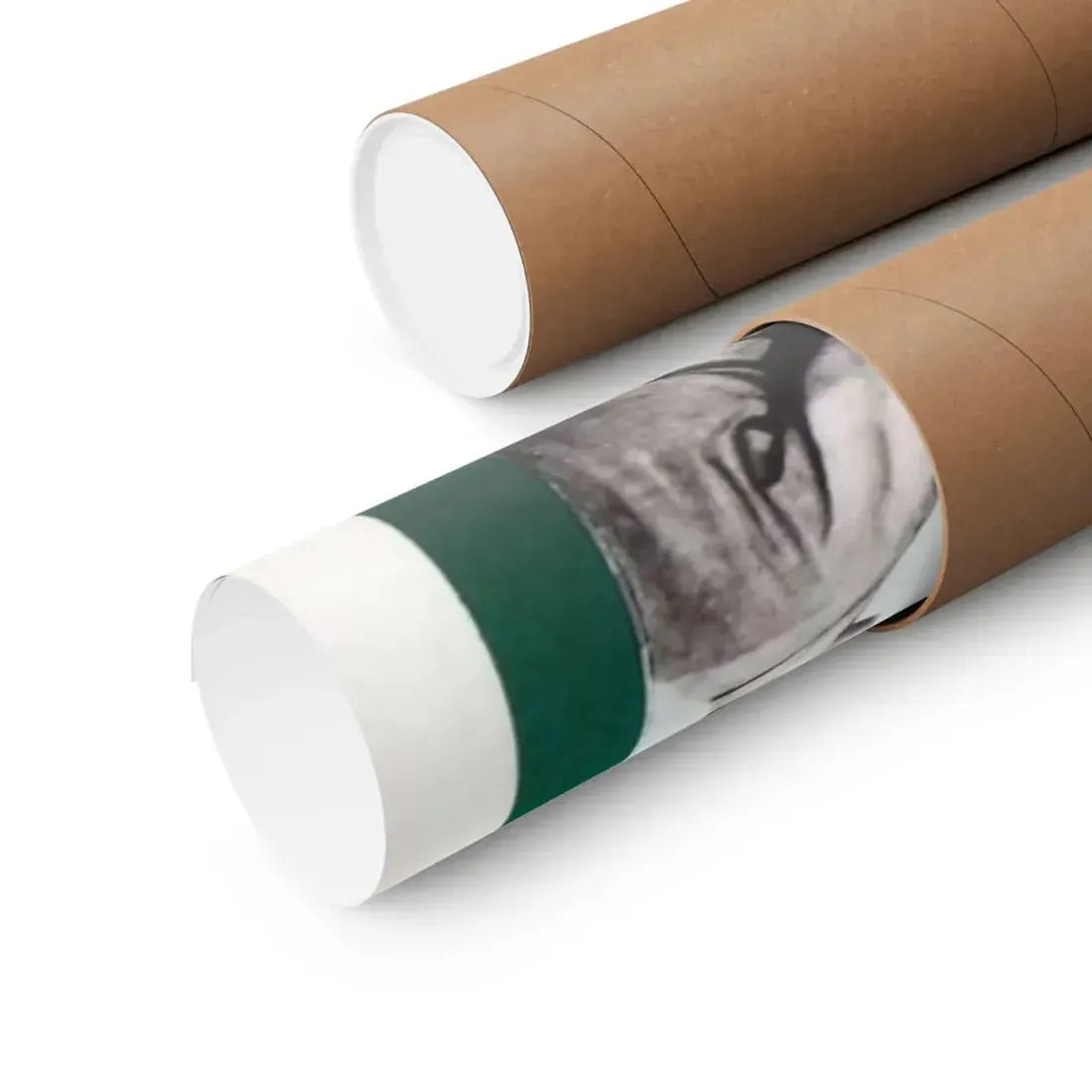 NIGHT OF THE WITCHES + DR FRANKENSTEIN ON CAMPUS 1970 - Paper Movie Poster - The Sticker Space