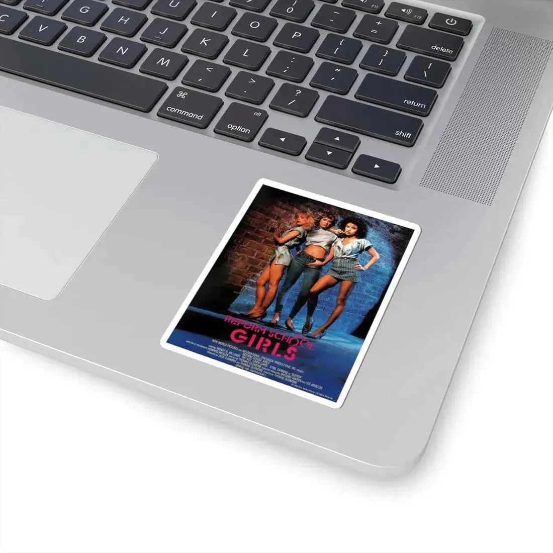REFORM SCHOOLGIRLS (2) 1986 Movie Poster - STICKER Vinyl Kiss-Cut Decal - The Sticker Space
