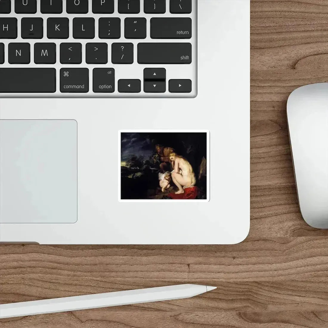 RUBENS, Peter Paul - Venus Frigida (Artwork) STICKER Vinyl Die-Cut Decal - The Sticker Space