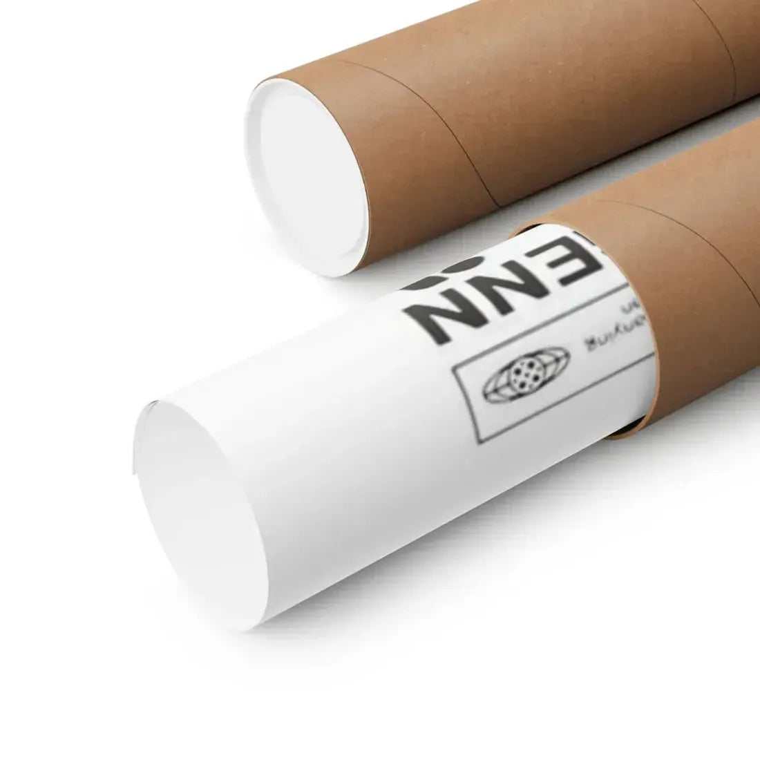 SCHIZOID (A LIZARD IN A WOMAN'S SKIN) 1971 - Paper Movie Poster - The Sticker Space