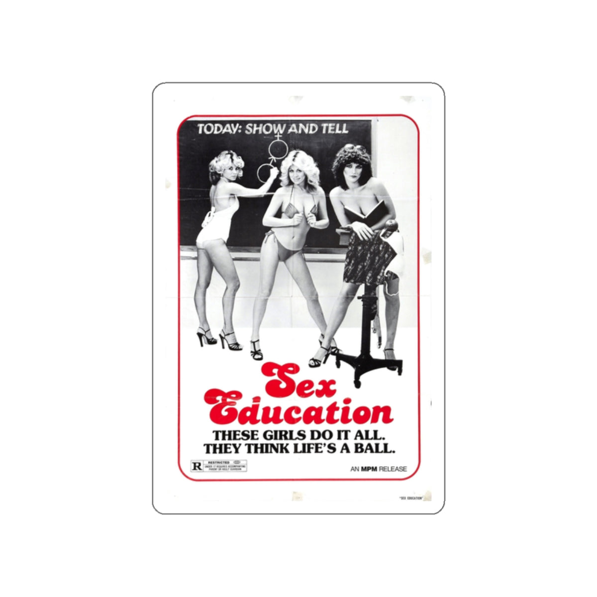 SEX EDUCATION 1979 Movie Poster STICKER Vinyl Die-Cut Decal – The Sticker  Space