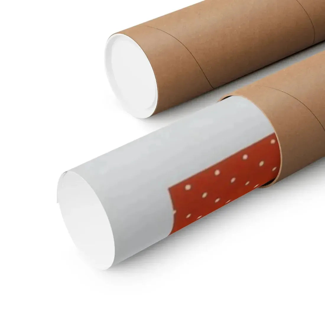 SEX KITTENS GO TO COLLEGE 1960 - Paper Movie Poster - The Sticker Space