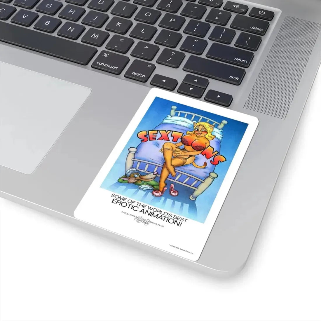 SEXTOONS 1975 Movie Poster - STICKER Vinyl Kiss-Cut Decal - The Sticker Space