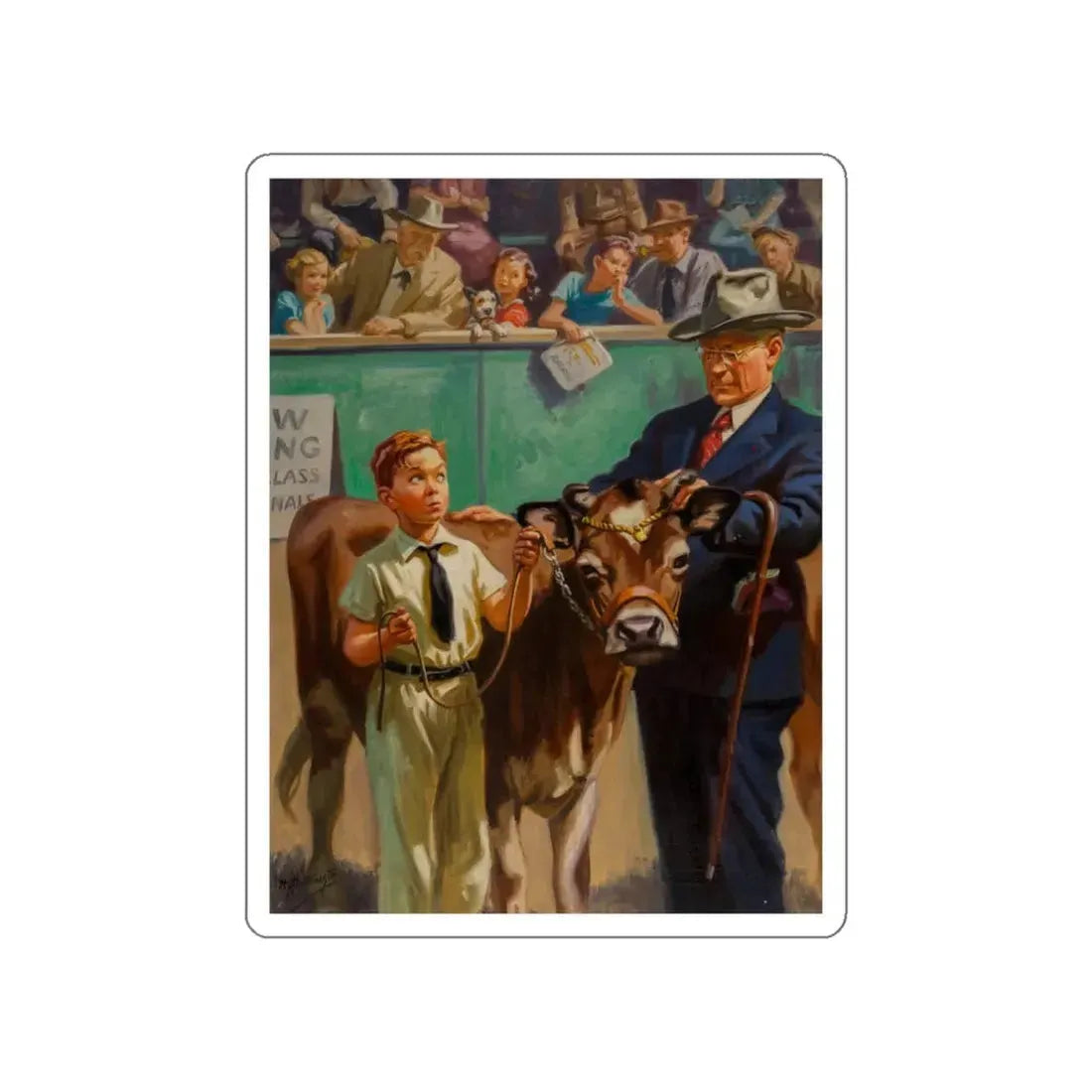 Showing the Prize Calf (Magazine Illustration) STICKER Vinyl Die-Cut Decal White Die-Cut 6 Inch - The Sticker Space