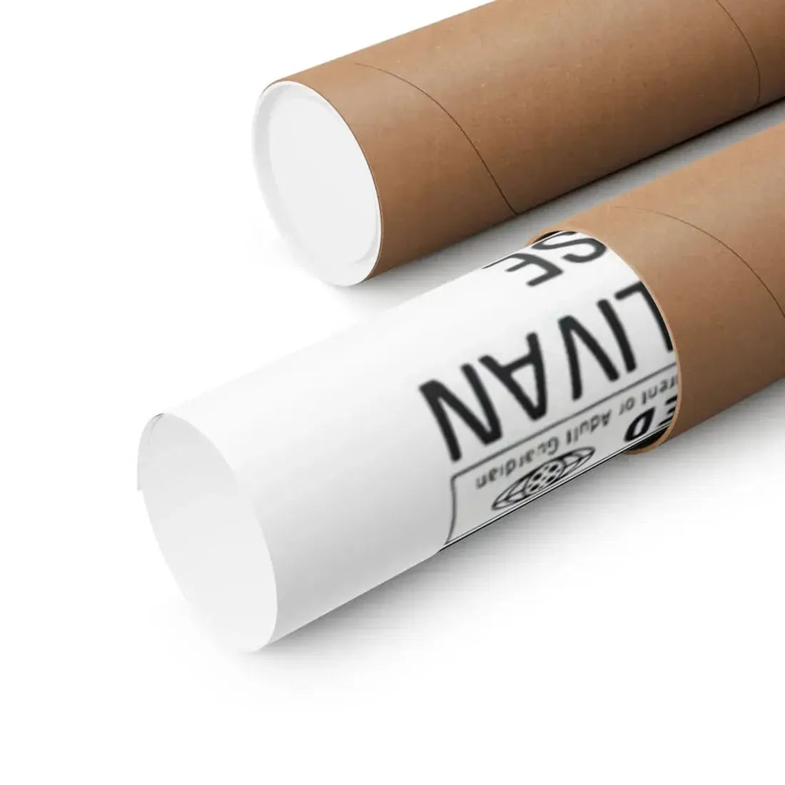 SQUIRM 1976 - Paper Movie Poster - The Sticker Space