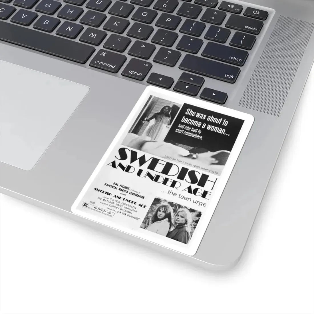 SWEDISH AND UNDER AGE 1969 Movie Poster - STICKER Vinyl Kiss-Cut Decal - The Sticker Space