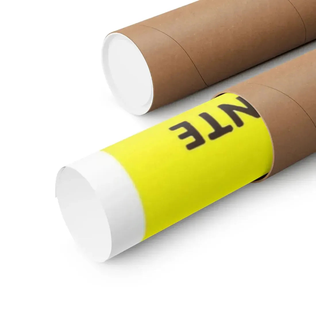 TEENAGE ZOMBIES 1959 - Paper Movie Poster - The Sticker Space