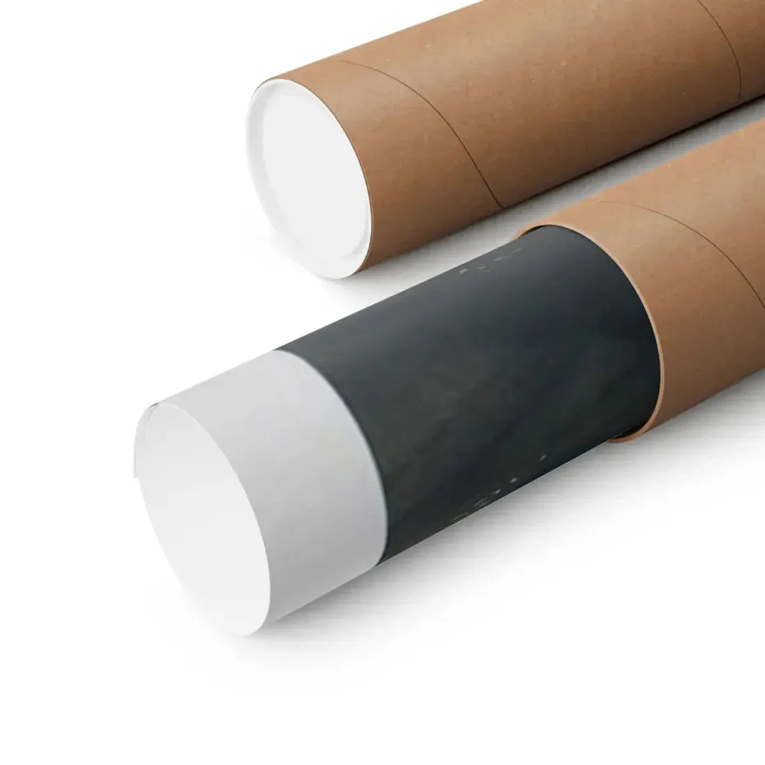 THE BEASTMASTER 1982 - Paper Movie Poster - The Sticker Space