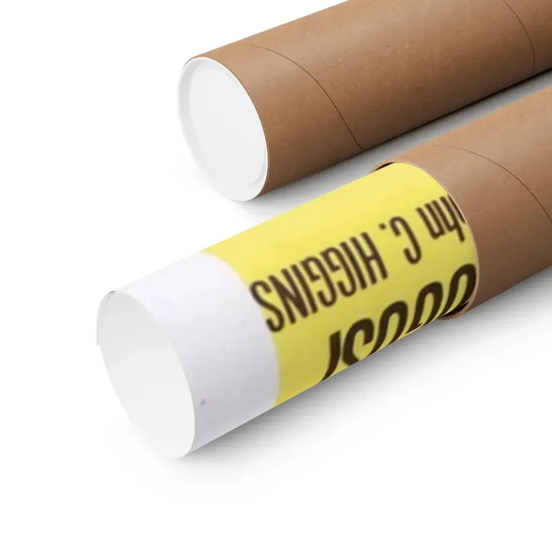 THE BLACK SLEEP 1956 - Paper Movie Poster - The Sticker Space