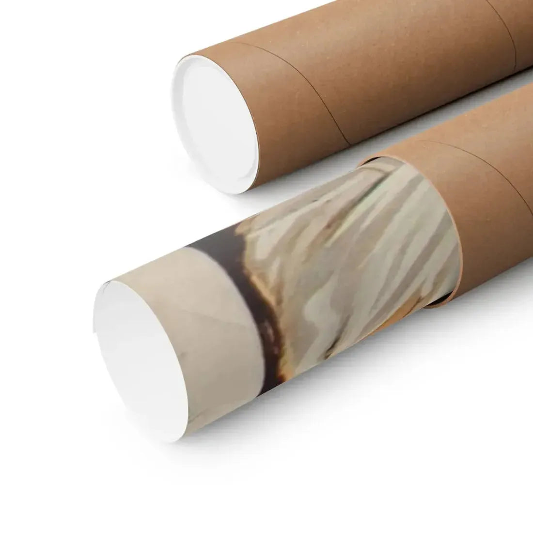 THE CREATURE WALKS AMONG US (BELGIAN) 1956 - Paper Movie Poster - The Sticker Space