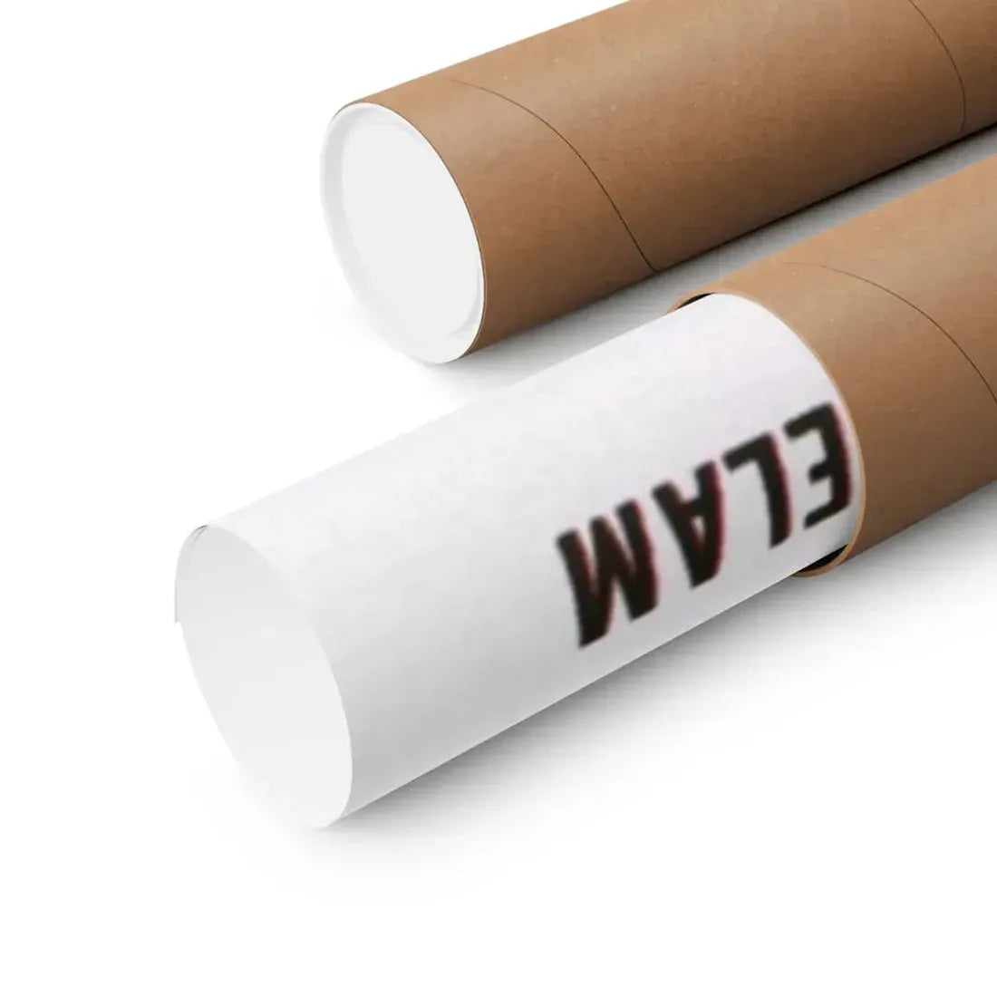 THE GIRL IN LOVER'S LANE 1959 - Paper Movie Poster - The Sticker Space