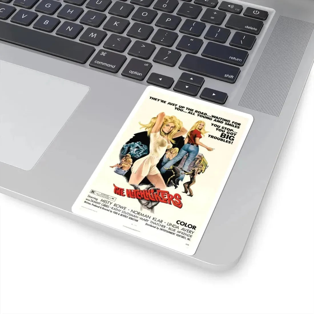 The Hitchhikers 1972 Movie Poster - STICKER Vinyl Kiss-Cut Decal - The Sticker Space