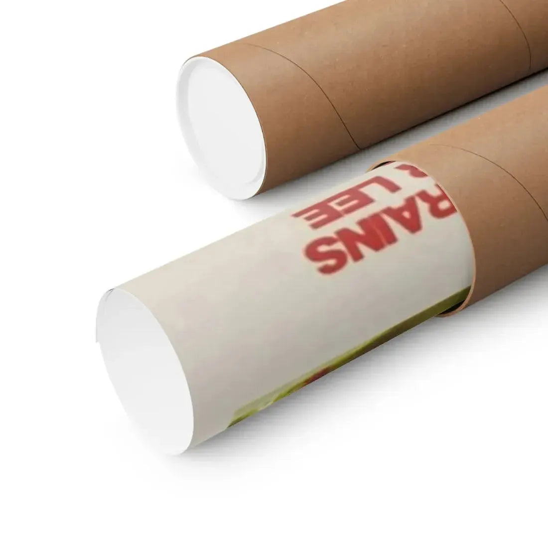 THE HORROR SHOW 1979 - Paper Movie Poster - The Sticker Space